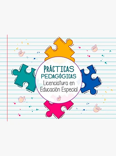 PRÁCTICAS DE EDUCACIÓN ESPECIAL